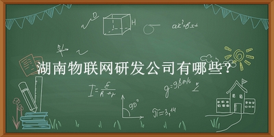 湖南物聯(lián)網研發(fā)公司
